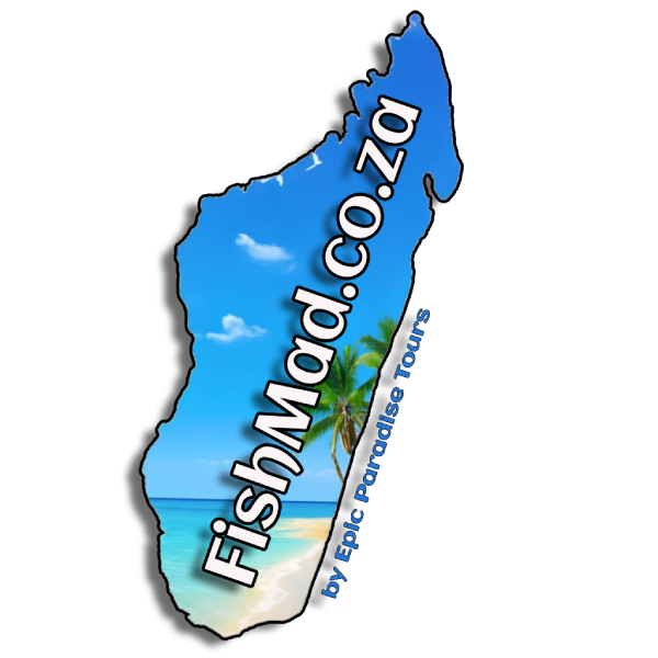 FishMad.co.za logo