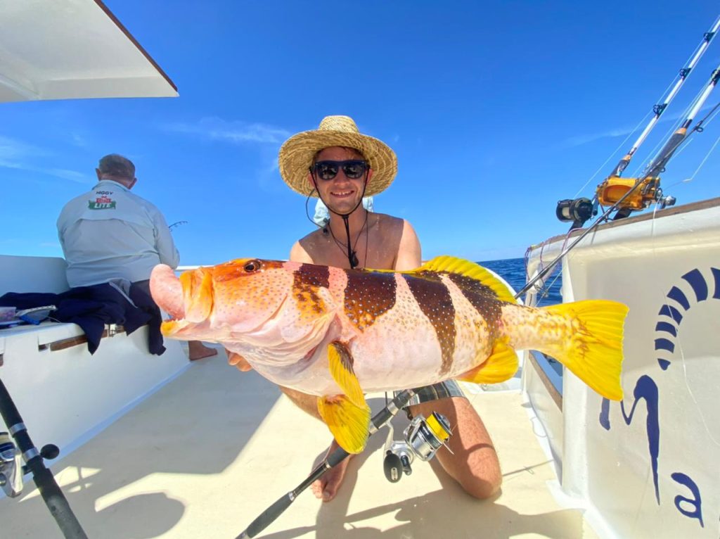 Captain Fine Rockcod Nosy Be Madagascar Epic Paradise Tours