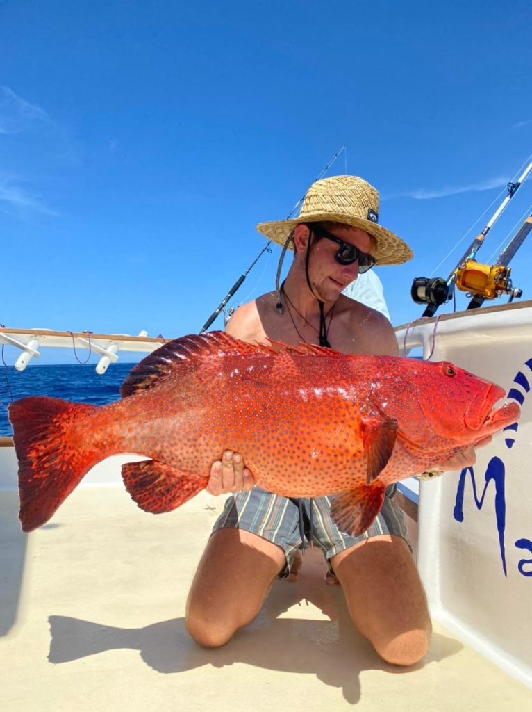 Coral Trout by Nosy Be Madagascar Epic Paradise Tours